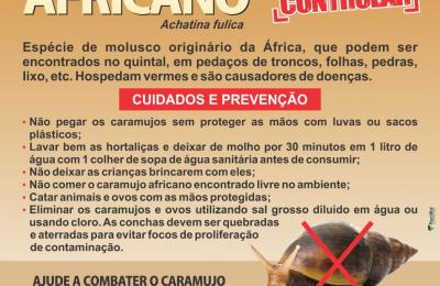CARAMUJO AFRICANO!