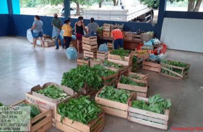 O PROGRAMA DE AQUISI&Ccedil;&Atilde;O DE ALIMENTOS &ndash; PAA EM MIRASSOL D&rsquo;OESTE FOI REINICIADO NESTE DIA 13 DE JANEIRO DE 2021.