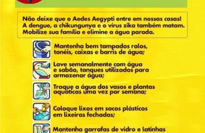Combate a Dengue Zika e Chikungunya