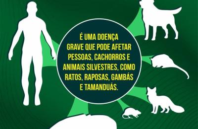 ? LEISHMANIOSE: SINTOMAS E PREVEN&Ccedil;&Atilde;O ?