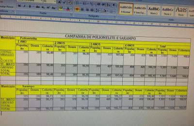 Meta de vacina&ccedil;&atilde;o contra sarampo e poliomielite &eacute; atingida