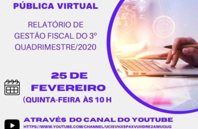 Audi&ecirc;ncia P&uacute;blica Virtual.
