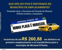 MINHA PLACA E MIRASSOL