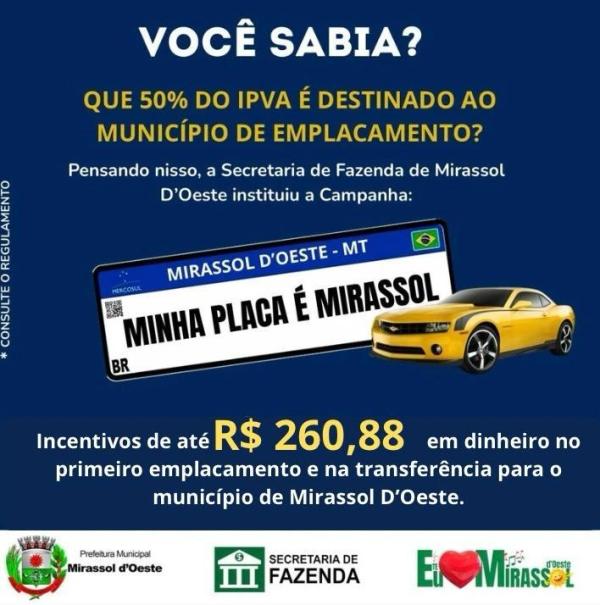 MINHA PLACA E MIRASSOL