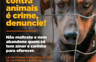 MAUS TRATOS CONTRA ANIMAIS &Eacute; CRIME, DENUNCIE!