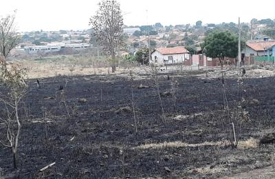 Gestor de Meio Ambiente alerta popula&ccedil;&atilde;o sobre as consequ&ecirc;ncias das queimadas urbanas