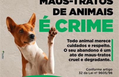 ABANDONO E MAUS-TRATOS DE ANIMAIS &Eacute; CRIME!