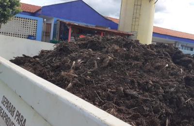 Adubo atrav&eacute;s da compostagem, entregue nas escolas municipais com o org&acirc;nico coletado em Mirassol d'Oeste.